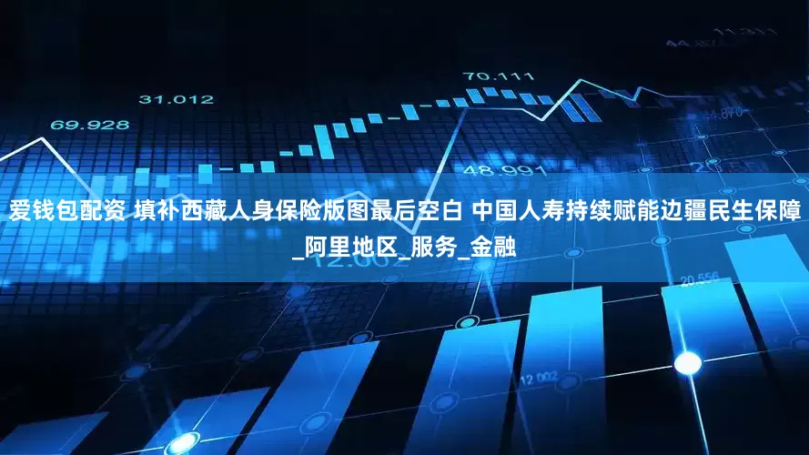 爱钱包配资 填补西藏人身保险版图最后空白 中国人寿持续赋能边疆民生保障_阿里地区_服务_金融